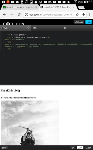 Jquery Horizontal Tabs Codepen