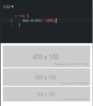 Make all images the same size, CSS - Programming Help - The ...